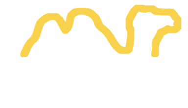 Camel Global