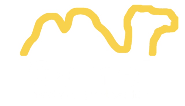 Camel Global